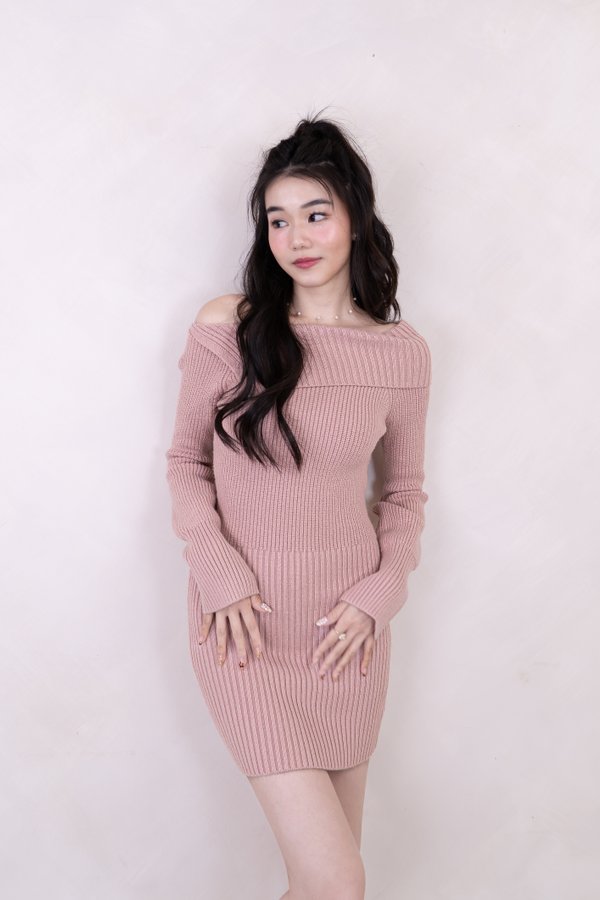 Sariah Turtle Neck Knit Long Sleeve Mini Dress in Dusty Pink