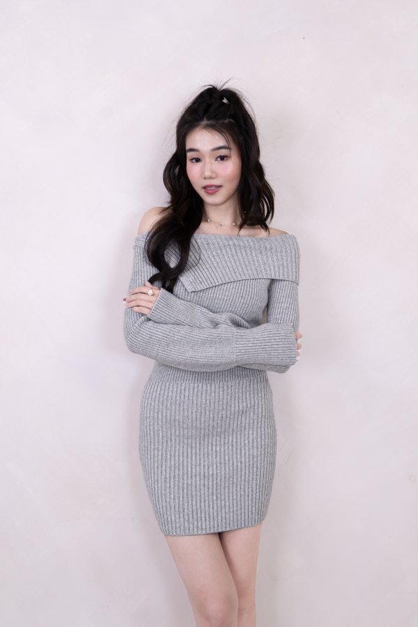 Sariah Turtle Neck Knit Long Sleeve Mini Dress in Grey