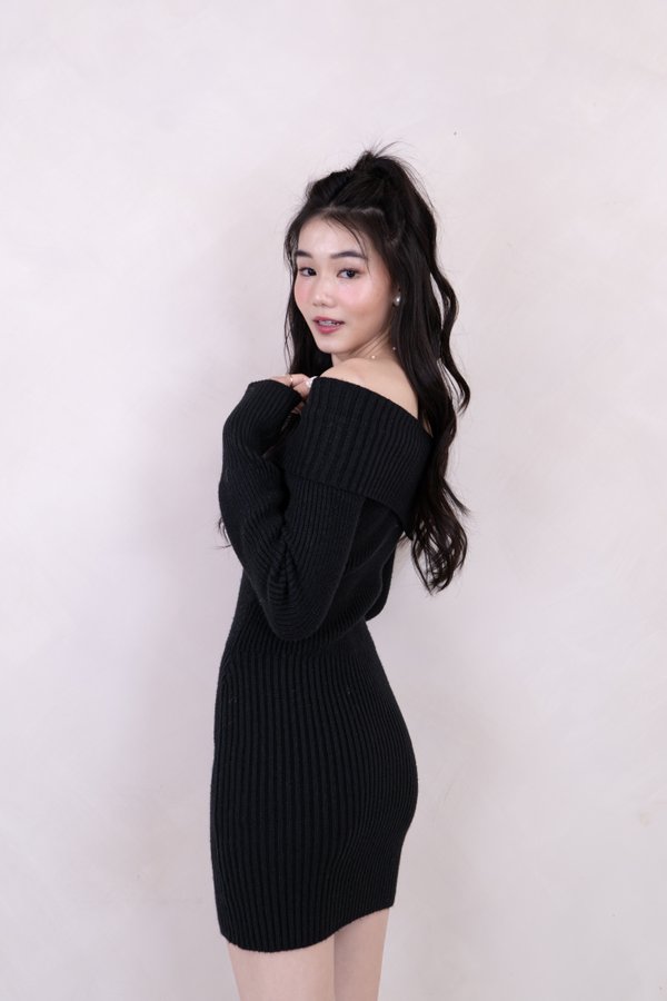 Sariah Turtle Neck Knit Long Sleeve Mini Dress in Black